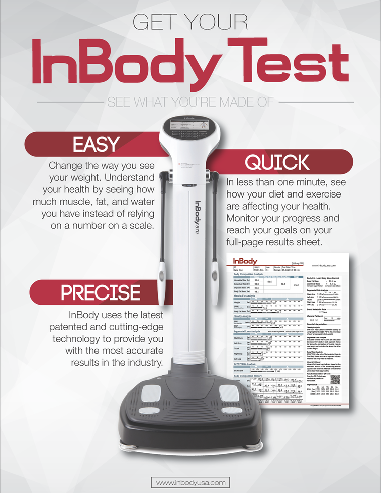 InBody — StudioTorch